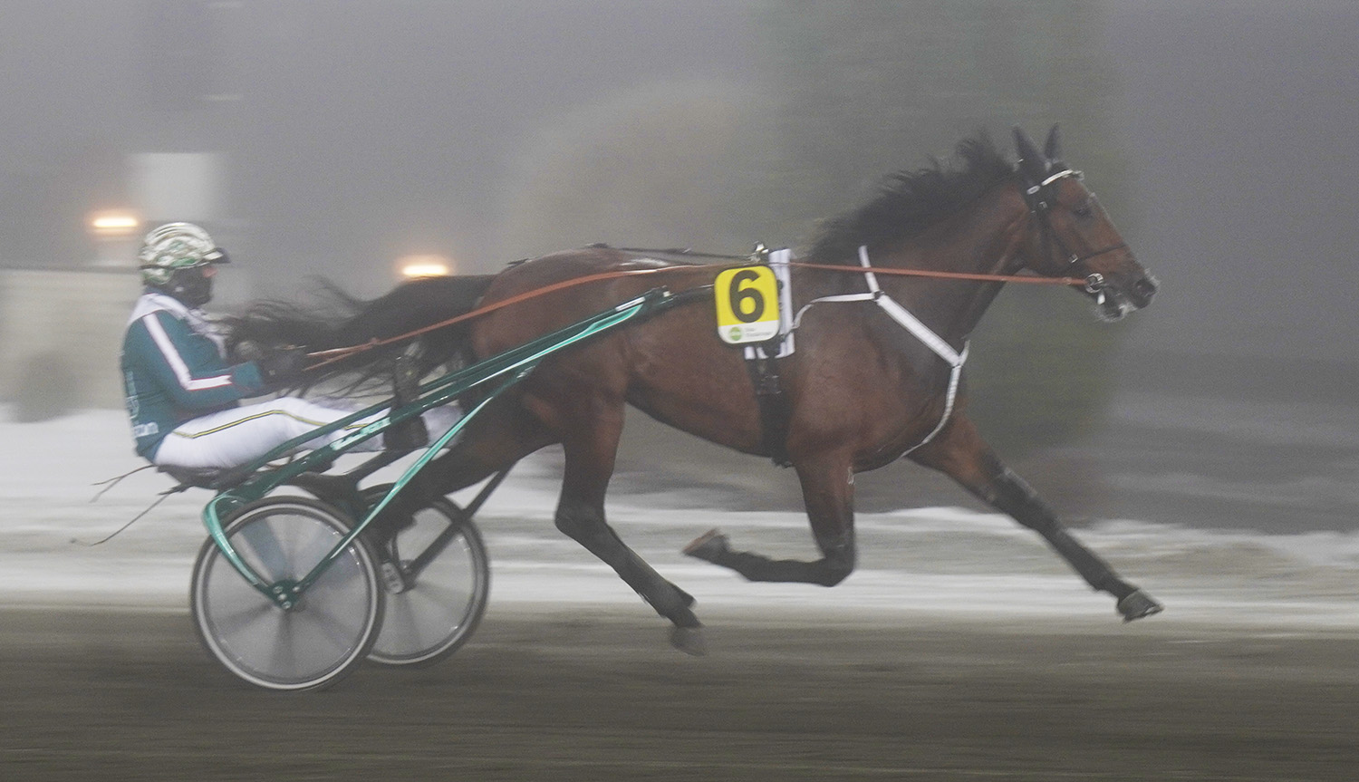 Hell of a Guy 251203-1